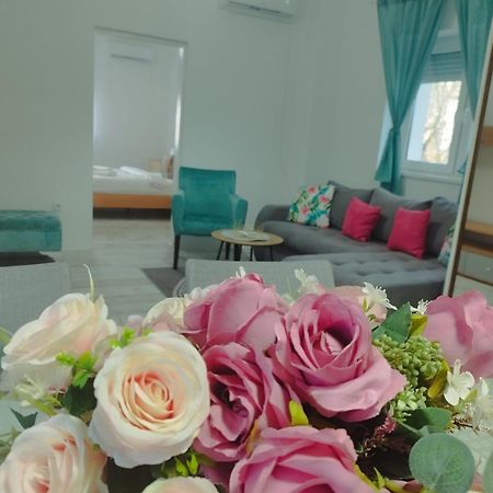 Apartman Radovic Смедерево Экстерьер фото