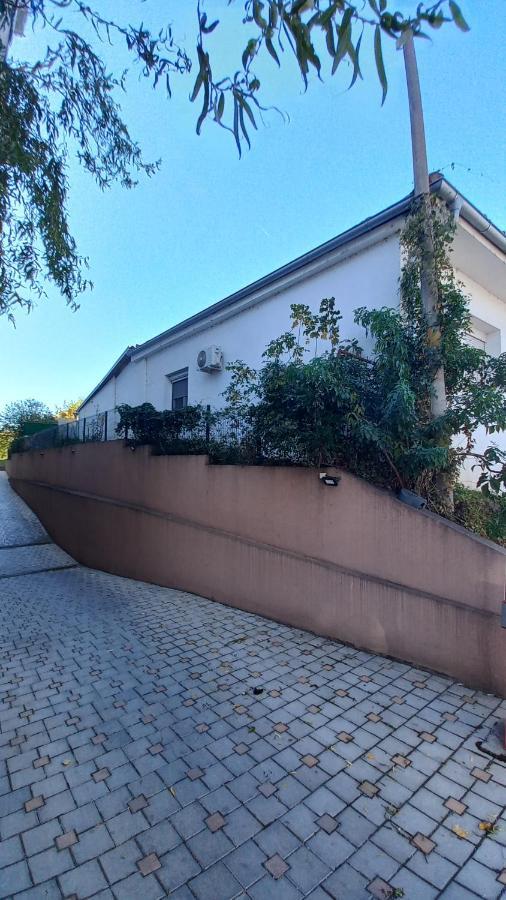 Apartman Radovic Смедерево Экстерьер фото