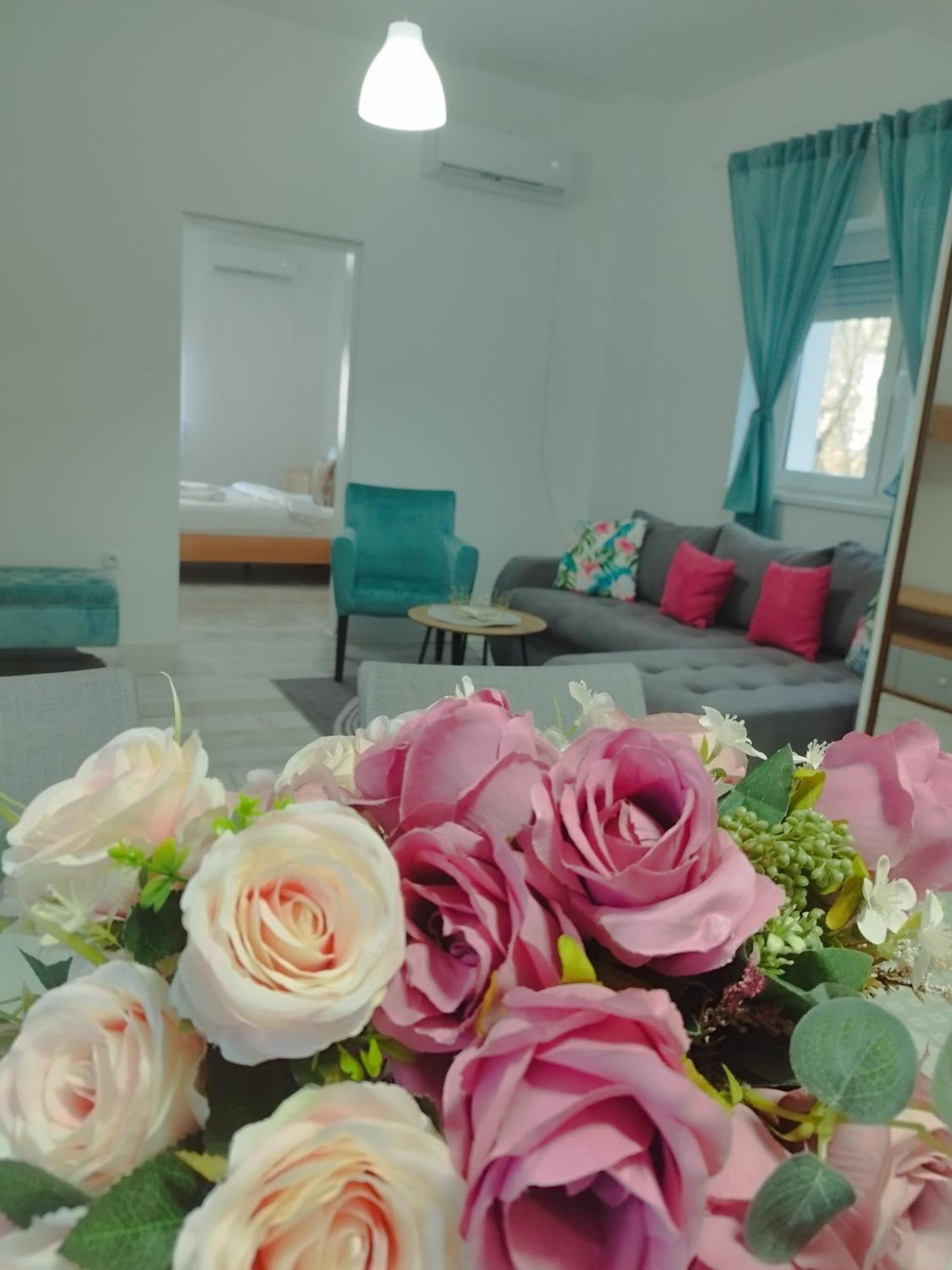 Apartman Radovic Смедерево Экстерьер фото
